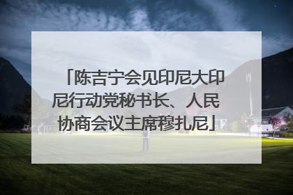 陈吉宁会见印尼大印尼行动党秘书长、人民协商会议主席穆扎尼