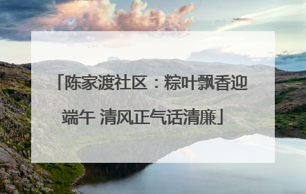 陈家渡社区：粽叶飘香迎端午 清风正气话清廉