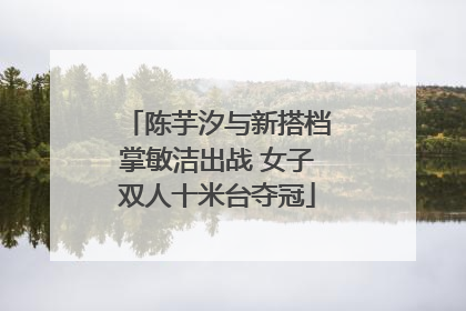 陈芋汐与新搭档掌敏洁出战 女子双人十米台夺冠