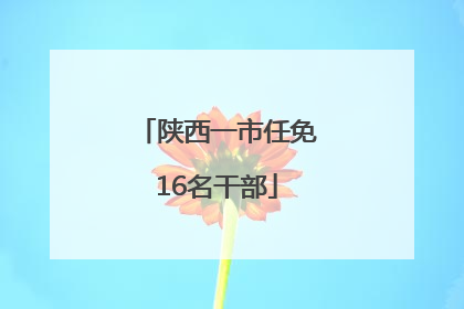 陕西一市任免16名干部