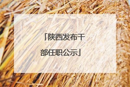 陕西发布干部任职公示