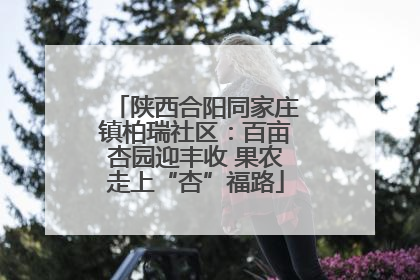 陕西合阳同家庄镇柏瑞社区：百亩杏园迎丰收 果农走上“杏”福路