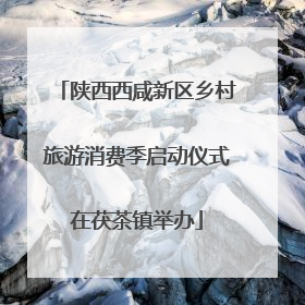 陕西西咸新区乡村旅游消费季启动仪式在茯茶镇举办