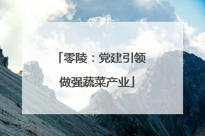 零陵：党建引领 做强蔬菜产业