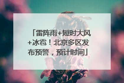 雷阵雨+短时大风+冰雹！北京多区发布预警，预计时间