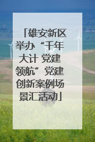 雄安新区举办“千年大计 党建领航”党建创新案例场景汇活动