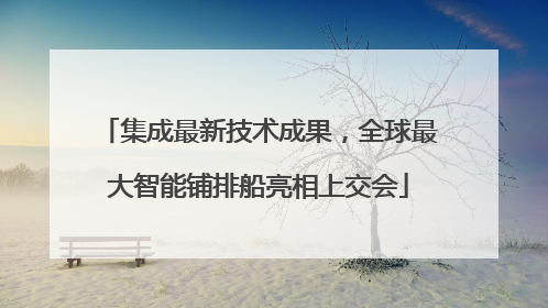集成最新技术成果，全球最大智能铺排船亮相上交会