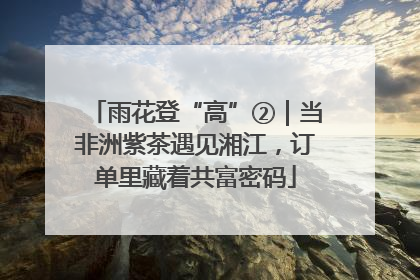 雨花登“高”②｜当非洲紫茶遇见湘江，订单里藏着共富密码