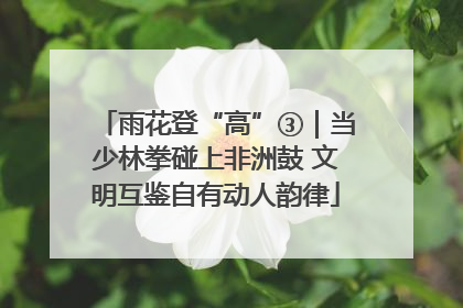 雨花登“高”③｜当少林拳碰上非洲鼓 文明互鉴自有动人韵律
