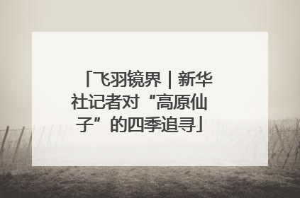 飞羽镜界｜新华社记者对“高原仙子”的四季追寻