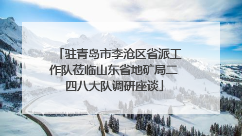 驻青岛市李沧区省派工作队莅临山东省地矿局二四八大队调研座谈