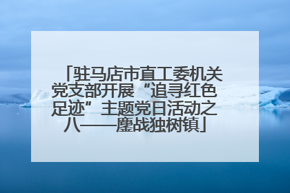 驻马店市直工委机关党支部开展“追寻红色足迹”主题党日活动之八——鏖战独树镇