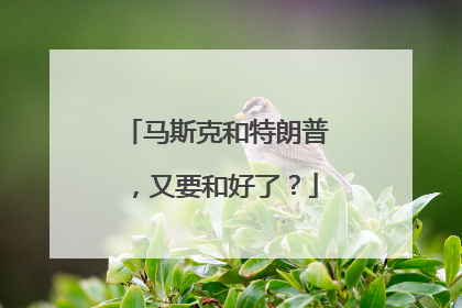 马斯克和特朗普，又要和好了？