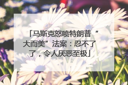 马斯克怒喷特朗普“大而美”法案：忍不了了，令人厌恶至极