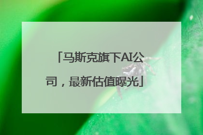 马斯克旗下AI公司，最新估值曝光
