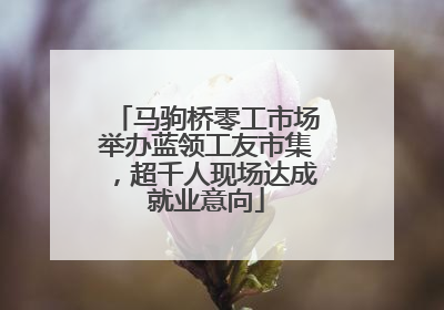 马驹桥零工市场举办蓝领工友市集，超千人现场达成就业意向