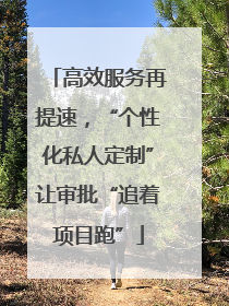 高效服务再提速，“个性化私人定制”让审批“追着项目跑”