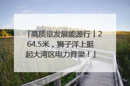 高质量发展能源行丨264.5米，狮子洋上挺起大湾区电力脊梁！