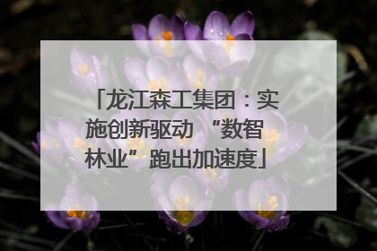 龙江森工集团：实施创新驱动 “数智林业”跑出加速度