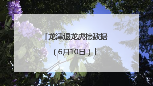 龙津退龙虎榜数据（6月10日）