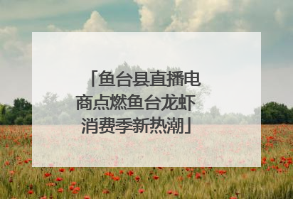 鱼台县直播电商点燃鱼台龙虾消费季新热潮