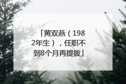 黄双燕（1982年生），任职不到8个月再提拔