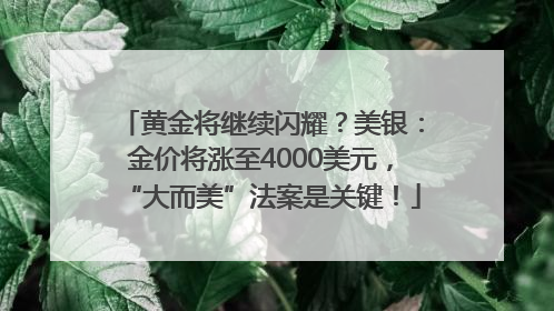 黄金将继续闪耀？美银：金价将涨至4000美元，“大而美”法案是关键！