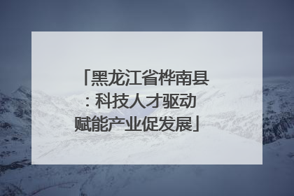 黑龙江省桦南县：科技人才驱动 赋能产业促发展