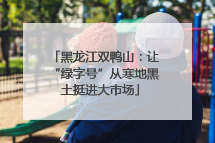 黑龙江双鸭山：让“绿字号”从寒地黑土挺进大市场