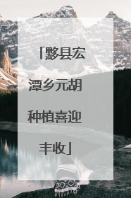 黟县宏潭乡元胡种植喜迎丰收