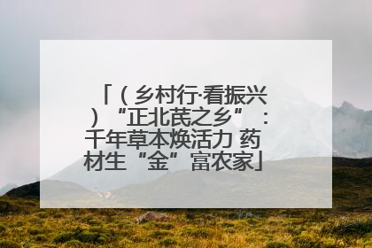 （乡村行·看振兴）“正北芪之乡”：千年草本焕活力 药材生“金”富农家