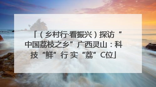 （乡村行·看振兴）探访“中国荔枝之乡”广西灵山：科技“鲜”行 实“荔”C位