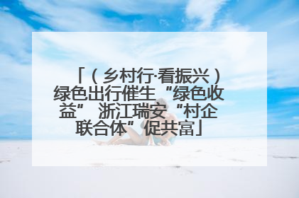（乡村行·看振兴）绿色出行催生“绿色收益” 浙江瑞安“村企联合体”促共富