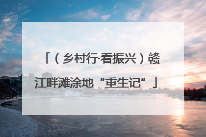 （乡村行·看振兴）赣江畔滩涂地“重生记”