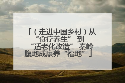 （走进中国乡村）从 “食疗养生” 到 “适老化改造” 秦岭腹地成康养“福地”