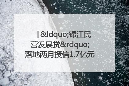 “锦江民营发展贷”落地两月授信1.7亿元，惠及118家民企