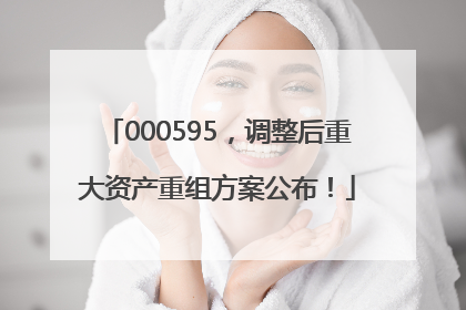 000595，调整后重大资产重组方案公布！