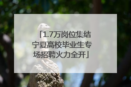 1.7万岗位集结 宁夏高校毕业生专场招聘火力全开