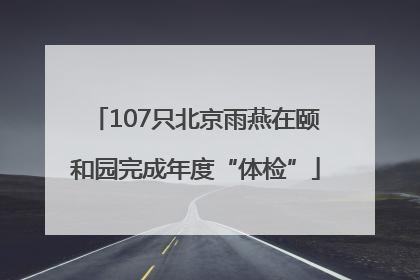 107只北京雨燕在颐和园完成年度“体检”