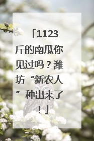 1123斤的南瓜你见过吗？潍坊“新农人”种出来了！