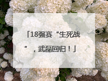 18强赛“生死战”，武磊回归！