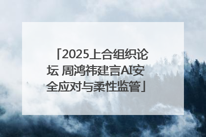 2025上合组织论坛 周鸿祎建言AI安全应对与柔性监管