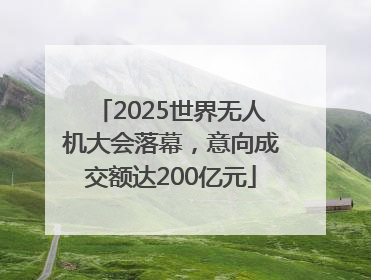 2025世界无人机大会落幕，意向成交额达200亿元