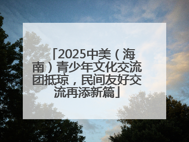 2025中美（海南）青少年文化交流团抵琼，民间友好交流再添新篇