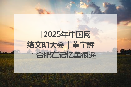2025年中国网络文明大会｜董宇辉：合肥在记忆里很遥远也很亲切