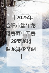 2025年合肥市端午龙舟赛雨中开赛 29支龙舟队龙舞少荃湖