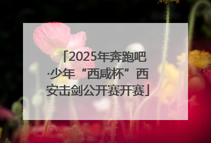 2025年奔跑吧·少年“西咸杯”西安击剑公开赛开赛