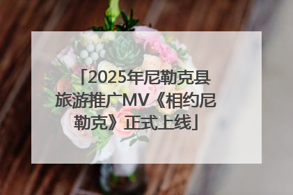2025年尼勒克县旅游推广MV《相约尼勒克》正式上线