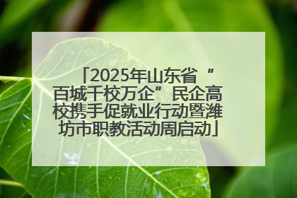 2025年山东省“百城千校万企”民企高校携手促就业行动暨潍坊市职教活动周启动