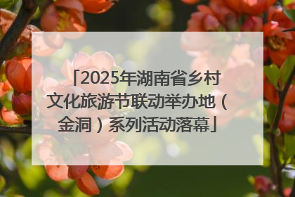 2025年湖南省乡村文化旅游节联动举办地（金洞）系列活动落幕